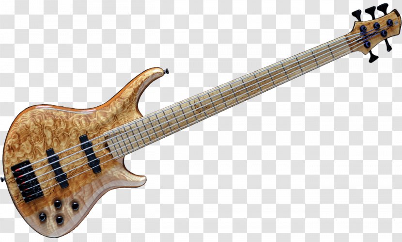 Bass Guitar Musical Instruments String Electric - Cartoon Transparent PNG