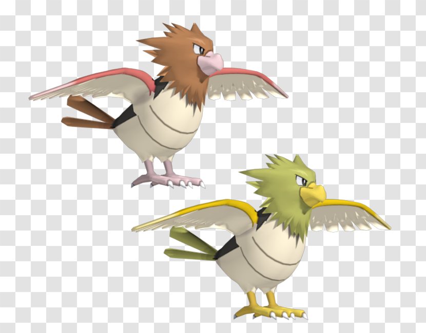Spearow Chicken 3D Modeling Fearow Computer Graphics - 3d Transparent PNG