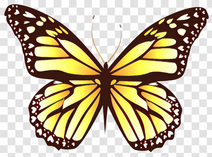 Butterfly Clip Art Image Desktop Wallpaper - Monarch - Viceroy Transparent PNG
