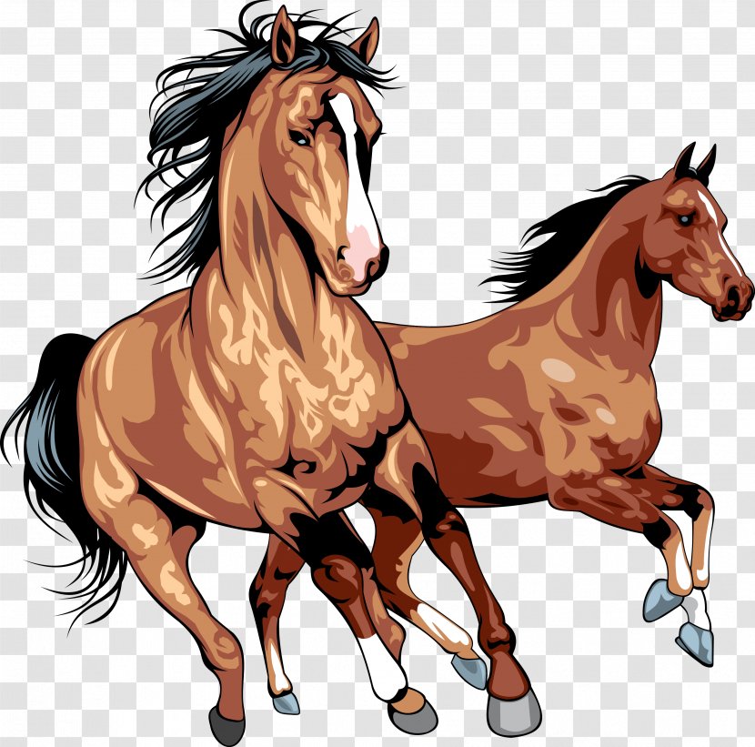 Horse Clip Art - Pack Animal Transparent PNG