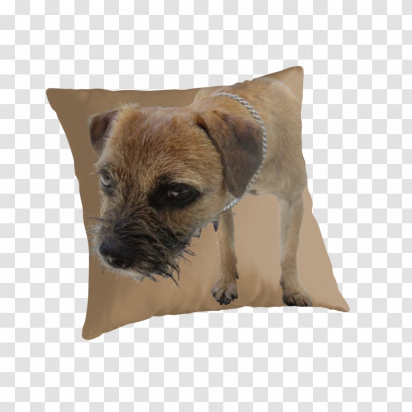 Border Terrier Cairn Puppy Dog Breed Throw Pillows - Pillow Transparent PNG