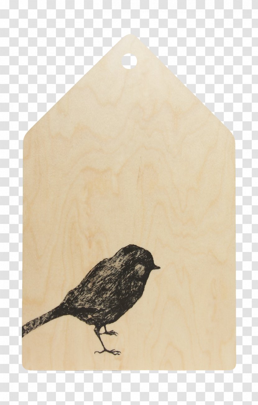Shopping MagiaPolnocy.pl Collecting - Feather - Chopping Board Transparent PNG