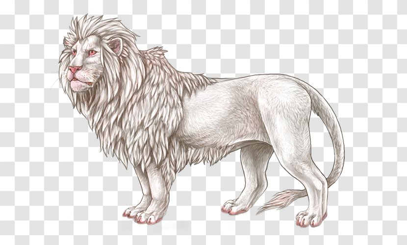 Lion Big Cat Mammal Transparent PNG