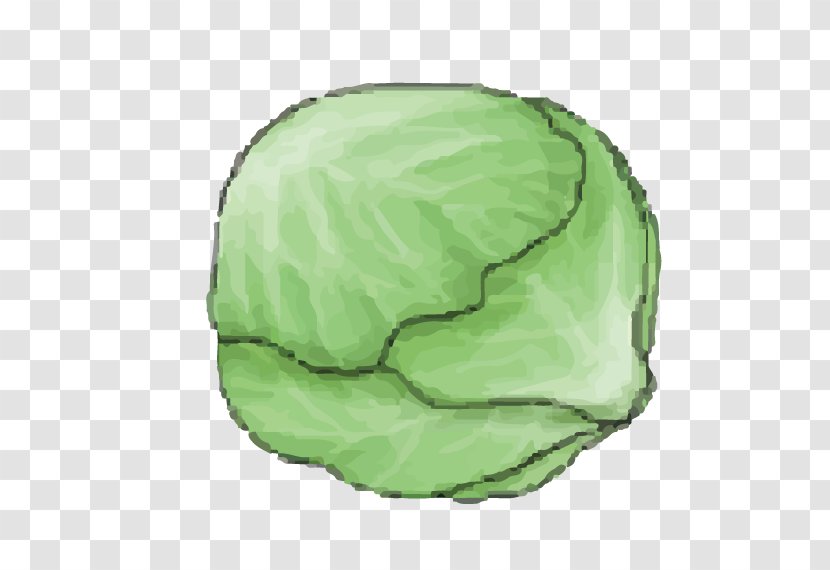 Cabbage Kale Cartoon - Flag Transparent PNG