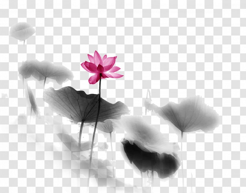 Buddhism Zen Meditation Happiness Buddhahood - Flower - Lotus Transparent PNG