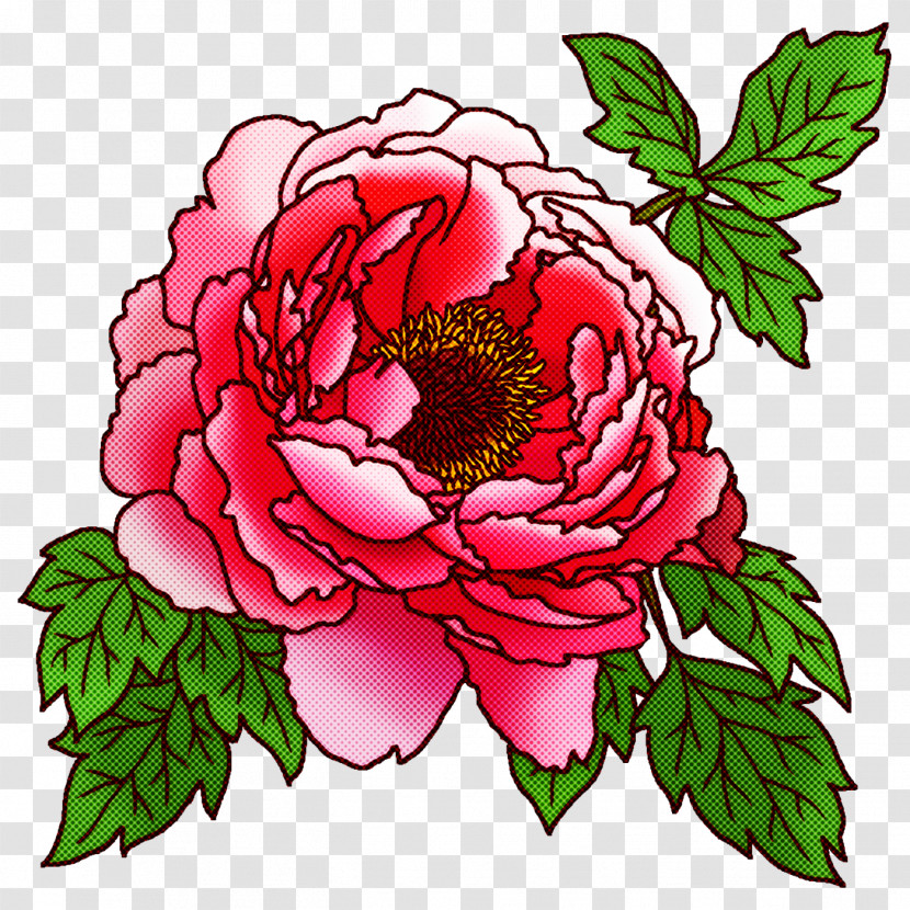 Garden Roses Transparent PNG