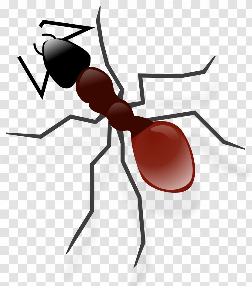 Anteater Clip Art - Membrane Winged Insect - Ant Transparent PNG