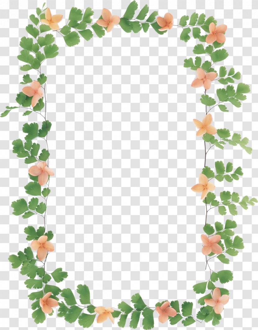 Flower Photography No Picture Frames - Tree Transparent PNG