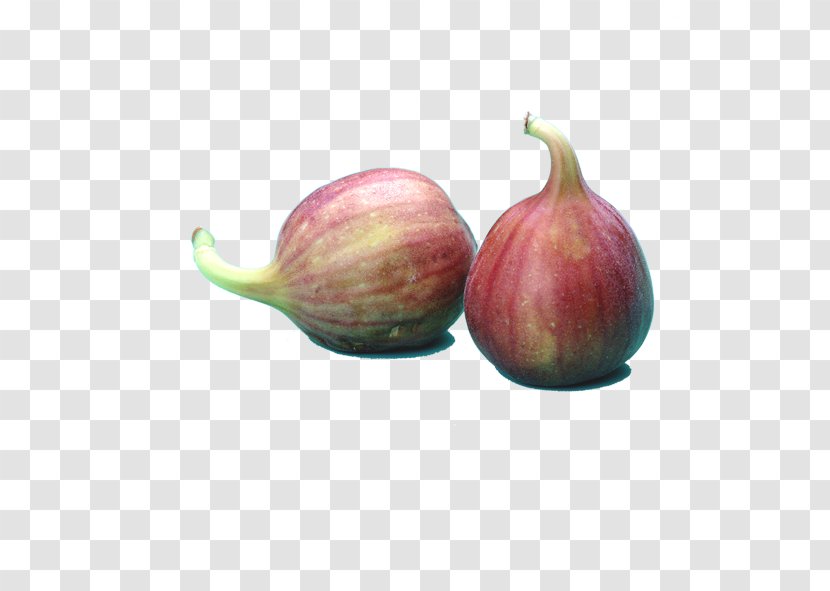 Fruit Vegetable Auglis Melon Common Fig - Onion Vegetables Transparent PNG