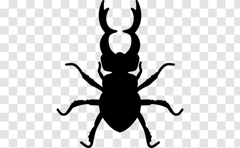 Stag Beetle Clip Art - Organism Transparent PNG