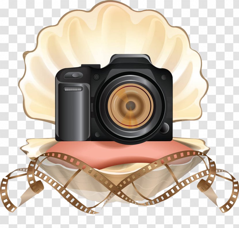 Camera Focus Photography - Accessory - Fashion Illustration Transparent PNG