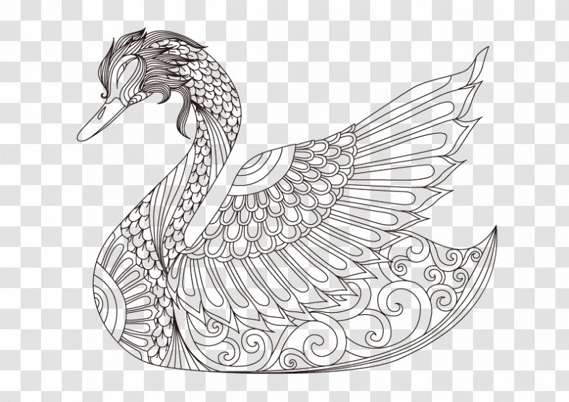 Cygnini Goose Drawing Coloring Book - Swan Linear Painting Transparent PNG
