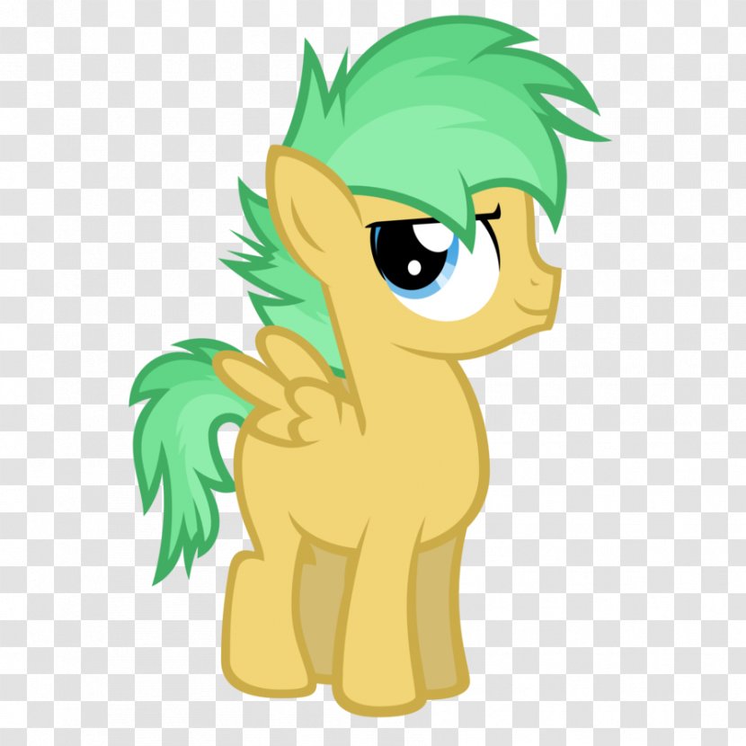 My Little Pony Colt Foal Stallion - Fictional Character - Colts Transparent PNG