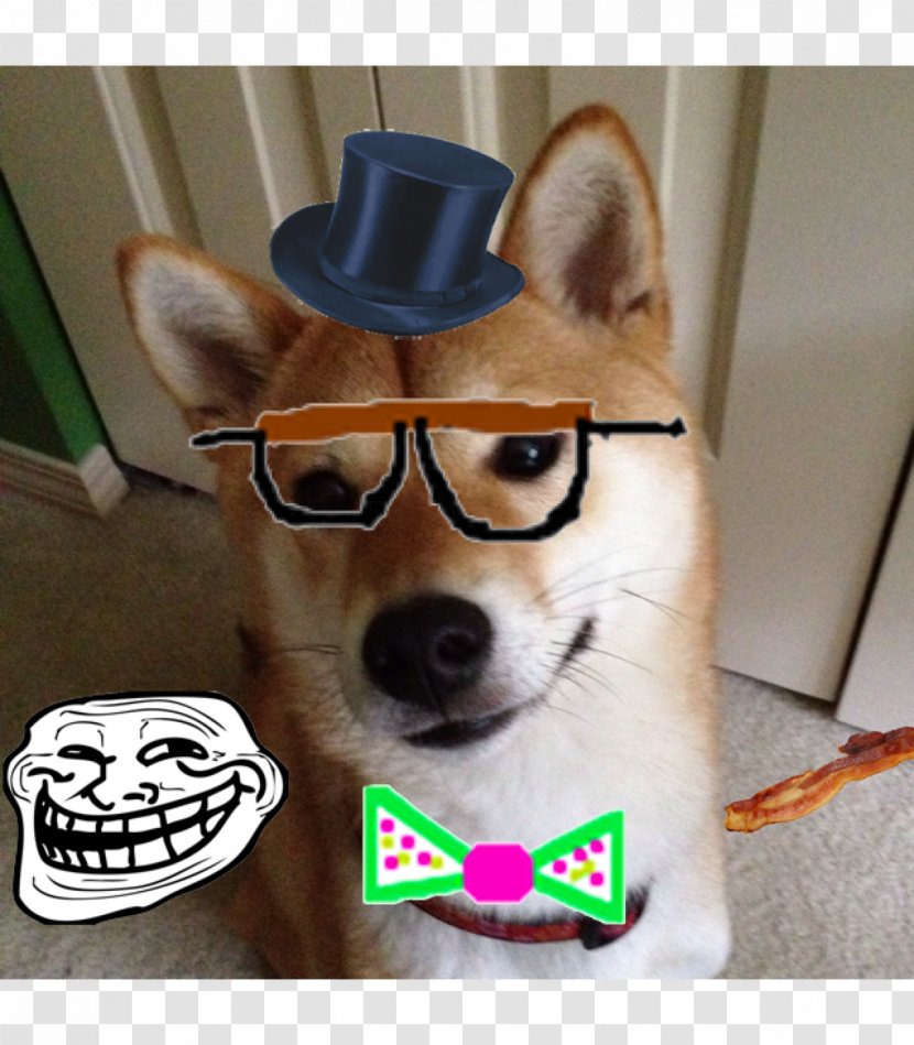 Shiba Inu Dog Breed Internet Hornswoggling Non-sporting Group (dog) - Nonsporting Transparent PNG