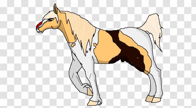 Mule Foal Halter Stallion Mustang - Pack Animal Transparent PNG