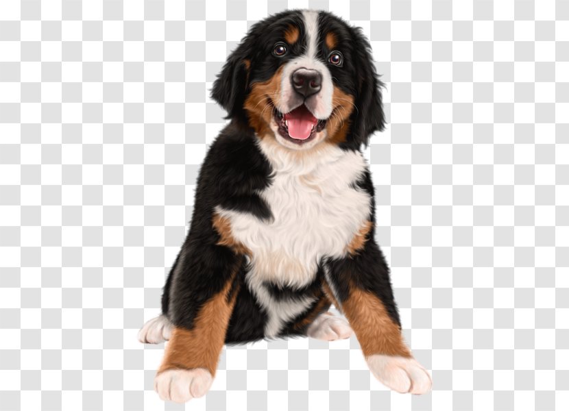 Bernese Mountain Dog Puppy Pupcakes: A Christmas Novel Kitten The BARKtenders Guide: To Dogtails And Pupcakes - Entlebucher - Painted Stay Meng Transparent PNG