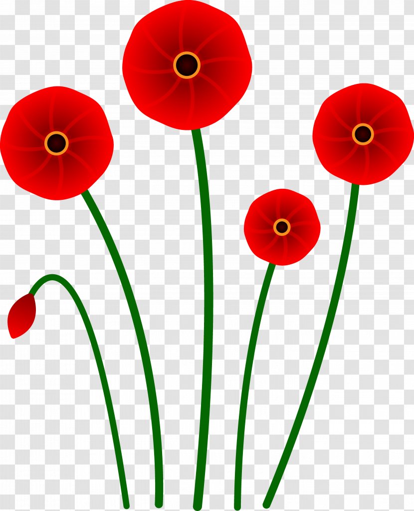 Poppy Flower Red Clip Art - Cinnabon Cliparts Transparent PNG