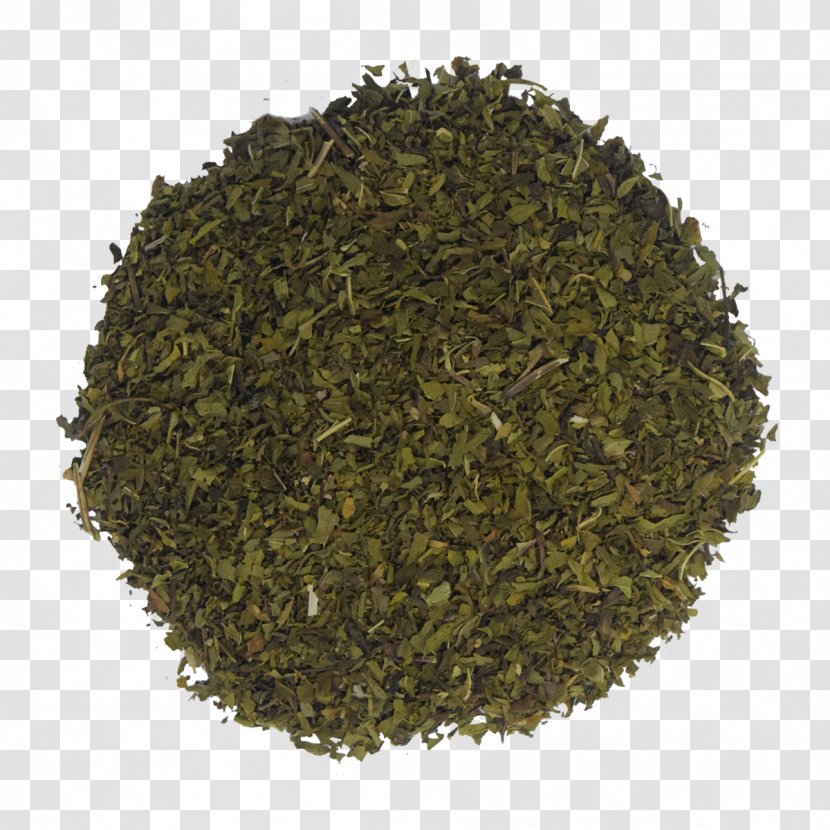 Nilgiri Tea Plant Transparent PNG
