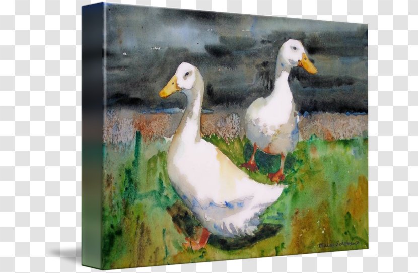 Duck Goose Watercolor Painting American Pekin - Livestock - Watercolour Animals Transparent PNG