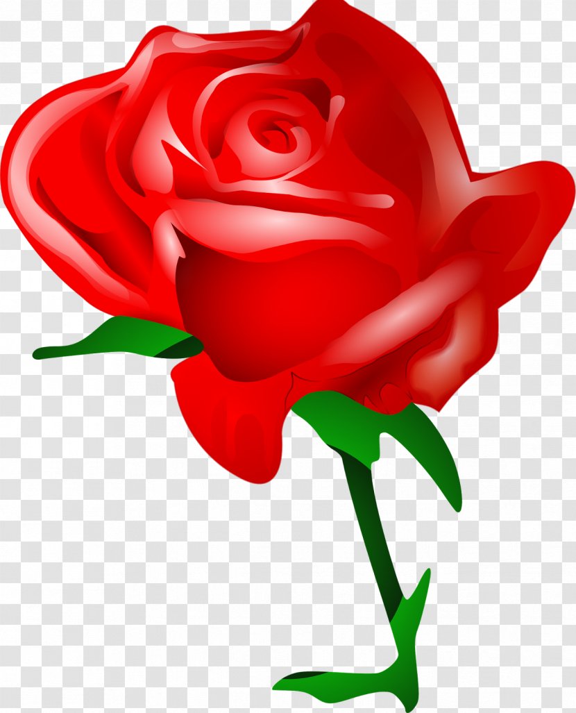 Valentine's Day Rose Flower Bouquet Clip Art - Drawing Transparent PNG