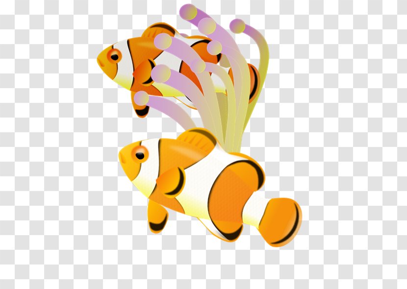 Nemo Ocellaris Clownfish Clip Art - Flower - Cliparts Transparent PNG