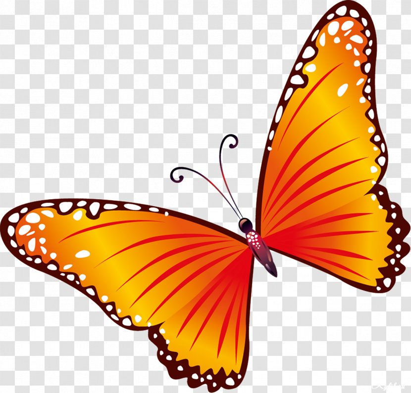 Butterfly Clip Art - Document Transparent PNG