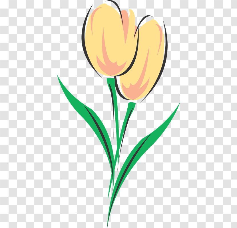 Tulip Drawing Coloring Book Flower Clip Art - Cut Flowers - Fort Transparent PNG