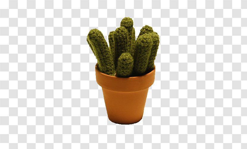 Cactaceae Echinopsis Oxygona Crochet Icon - Cactus - Prickly Pear Transparent PNG