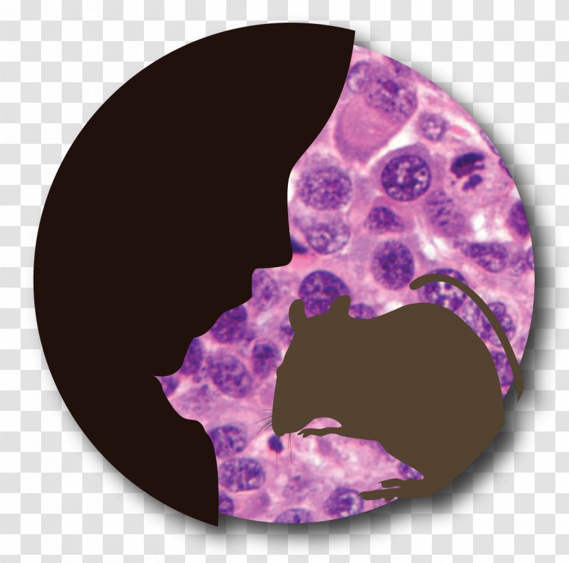 Organism - Purple Transparent PNG