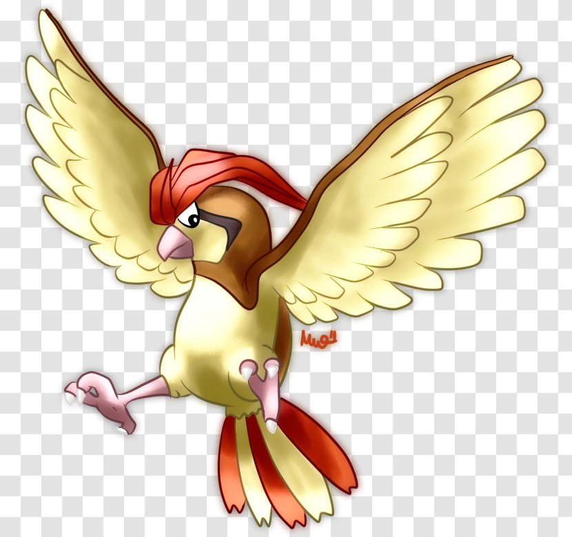 Pokémon Evolution Pidgey Pidgeotto Chicken - Fictional Character - Pokemon Pidgeot Transparent PNG