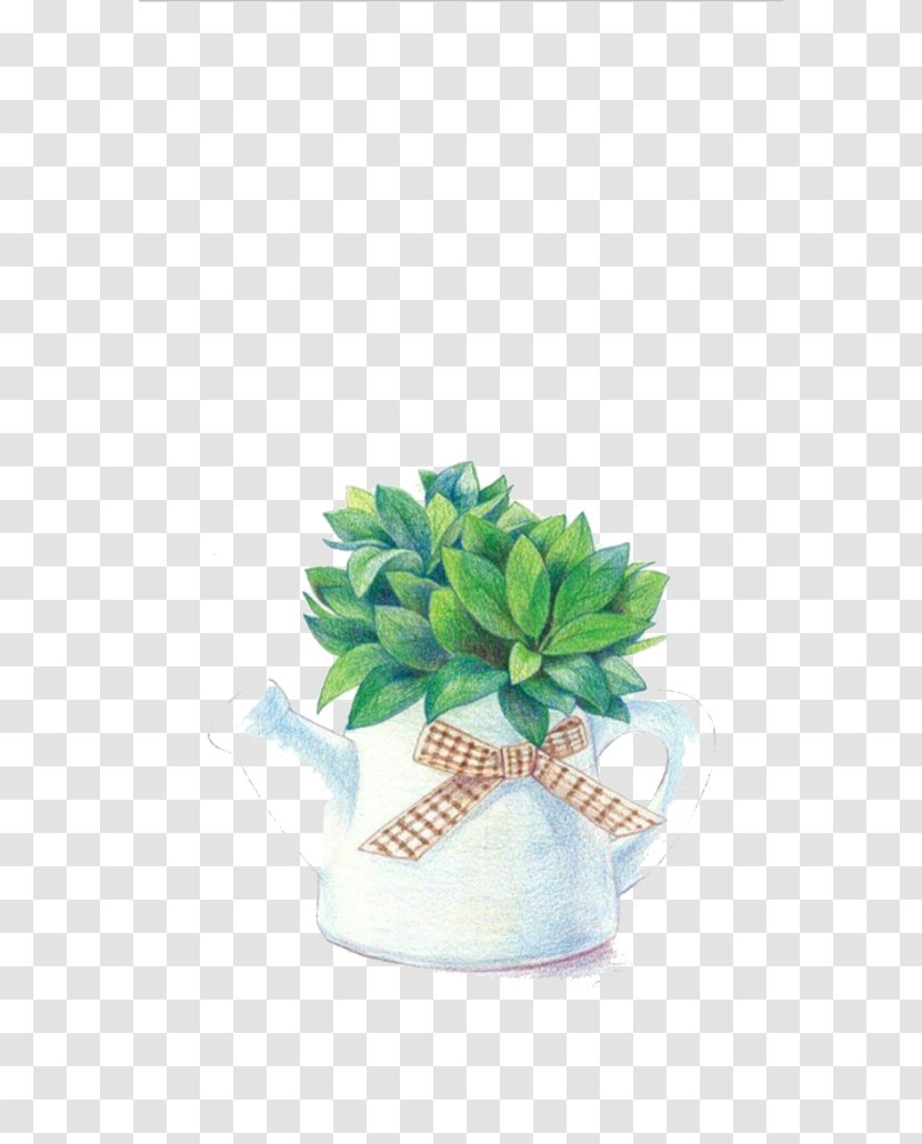 Plant Leaf Devils Ivy Illustration - Potted Green Plants Transparent PNG