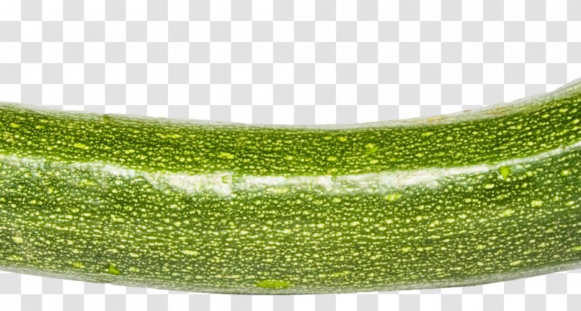 Zucchini Transparency Giant Panda Stock Photography - Glitter - Designing Projects Transparent PNG
