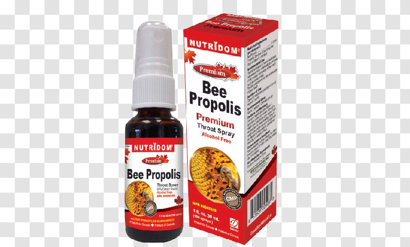 Bee Propolis: Natural Healing From The Hive Wax Pollen - Vitamin - Healthy Eating Habits Transparent PNG