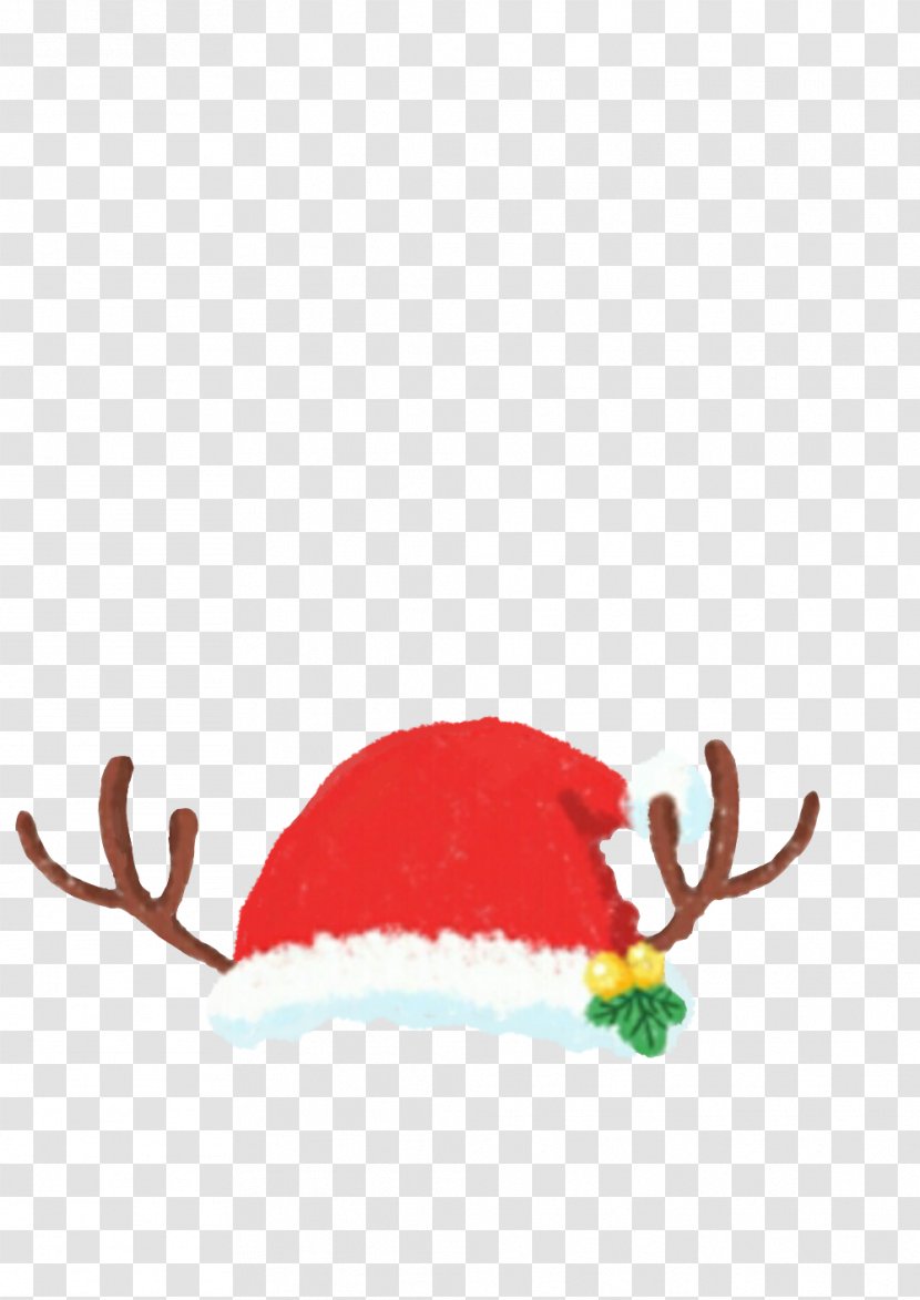 Christmas Day Image Gift Hat - Poster - Silly Transparent PNG