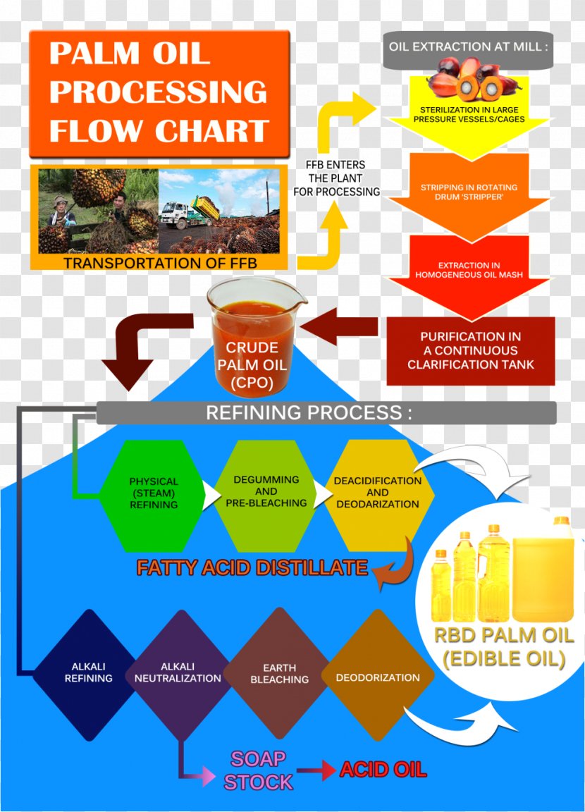 Malaysian Palm Oil Board Cooking Oils Production In Malaysia - Wastewater Transparent PNG