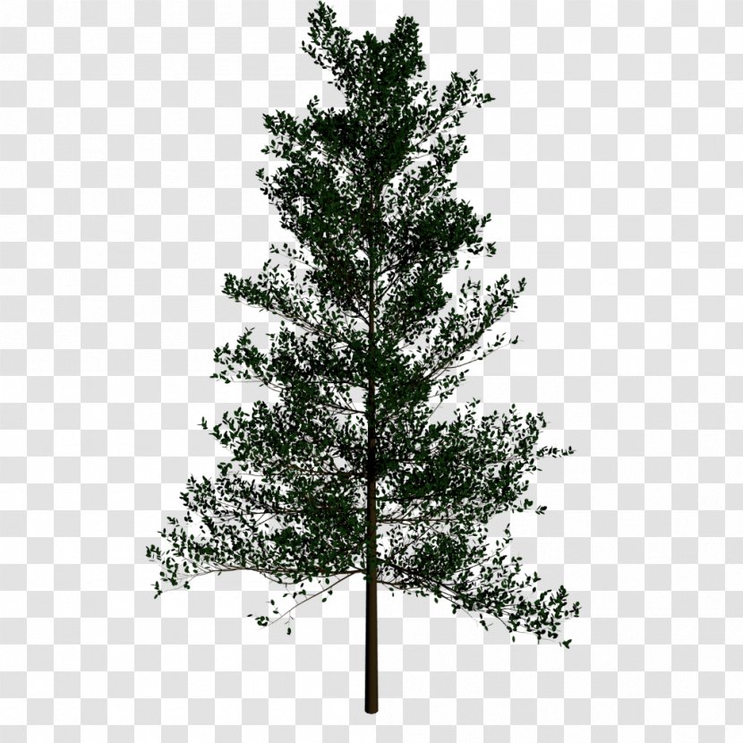 Artificial Christmas Tree Pre-lit Day Bronner's CHRISTmas Wonderland - Lodgepole Pine Transparent PNG