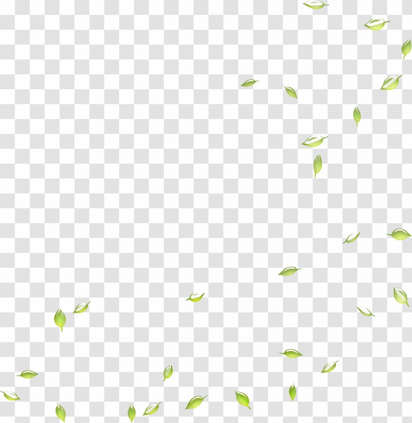 Google Images Search Engine Leaf Deciduous - Point - Falling Green Leaves Transparent PNG