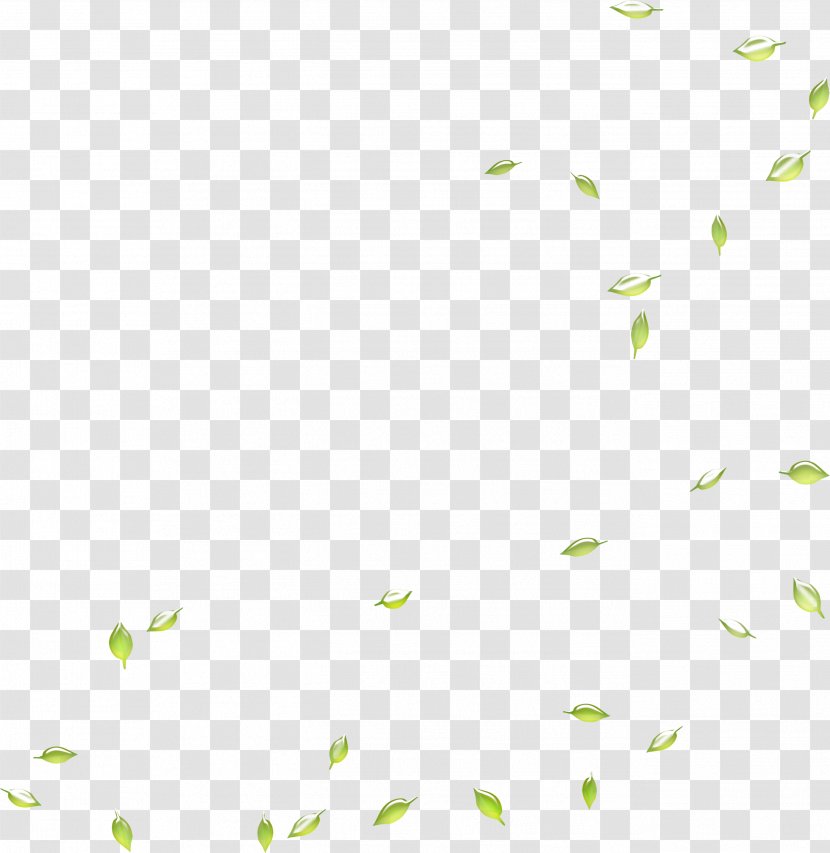 Google Images Search Engine Leaf Deciduous   Falling Green Leaves Png