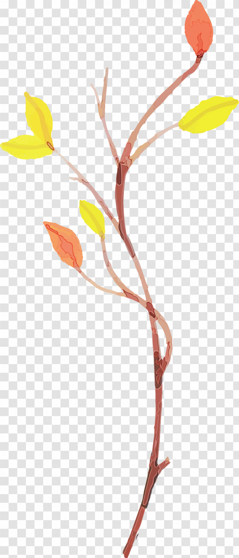 Twig Plant Stem Leaf Petal Line Transparent PNG