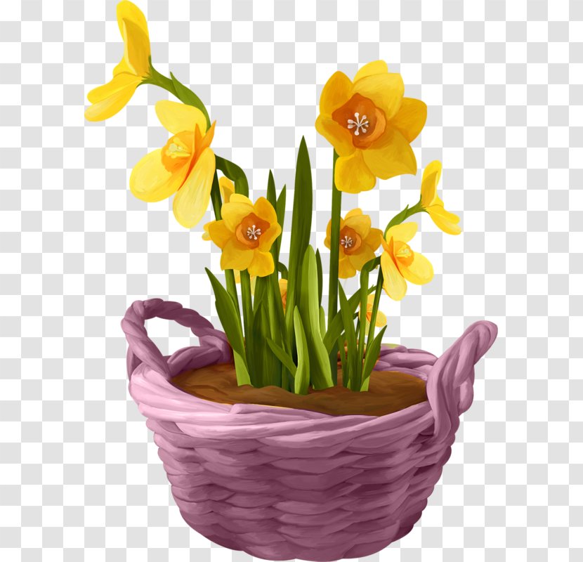 Flower Floral Design Centerblog Clip Art - Amaryllis Family Transparent PNG