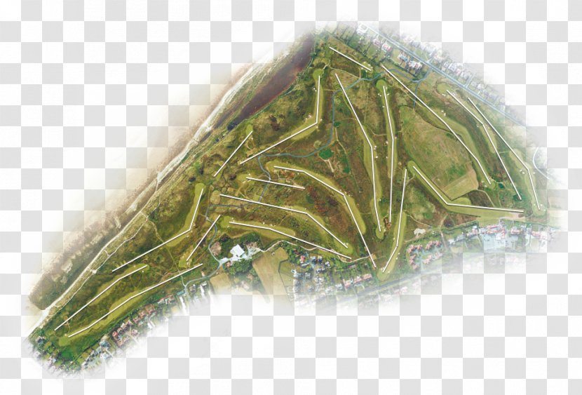 Green Bean - Royal Liverpool Golf Club Transparent PNG