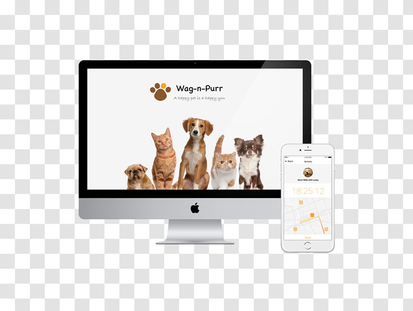 Web Development Service E-commerce Creative Director Graphic Design - Dog Transparent PNG
