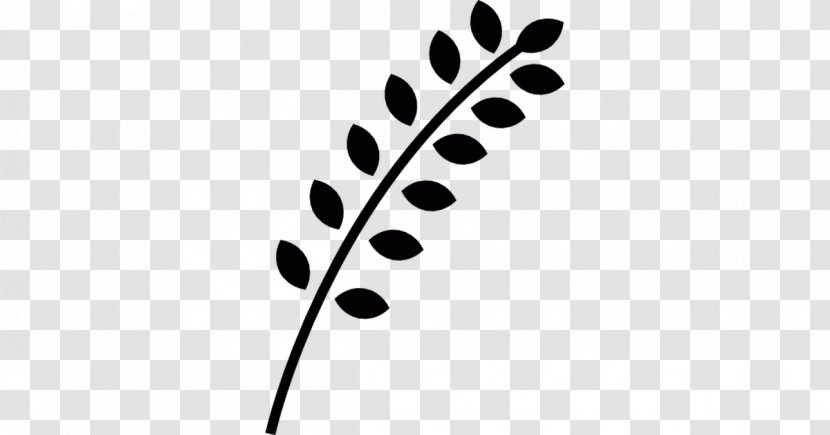 Ear Wheat Food - Tree Transparent PNG