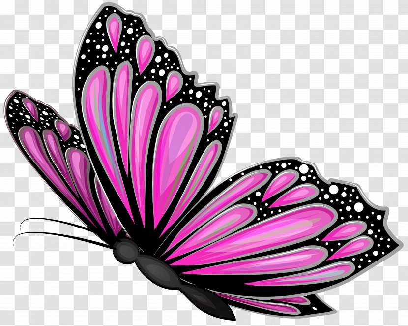 Butterfly Pink Clip Art - Moths And Butterflies - Transparent Image Transparent PNG