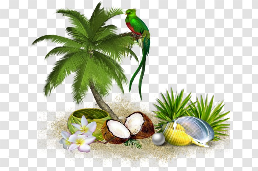 Tree Coconut Clip Art - Tropical Island Transparent PNG