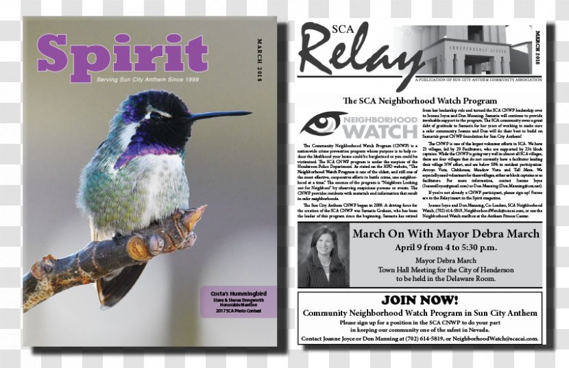 Hummingbird M Advertising Beak - Pollinator - Sun Secure Transparent PNG
