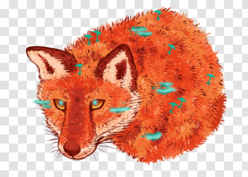 Red Fox Whiskers Art Snout - Skull - Watercolor Transparent PNG