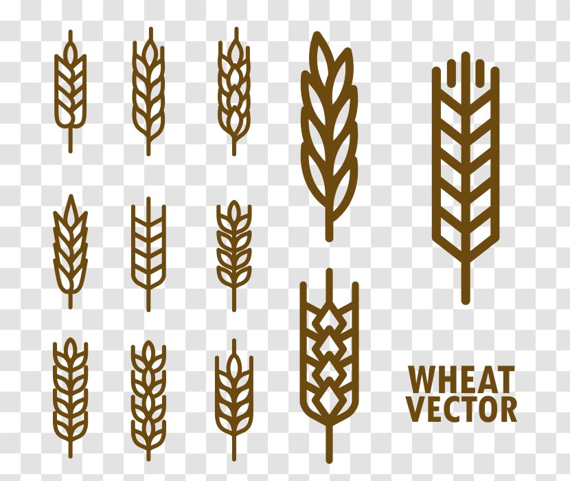 Wheat Cereal Download - Food - Hand Painted Transparent PNG
