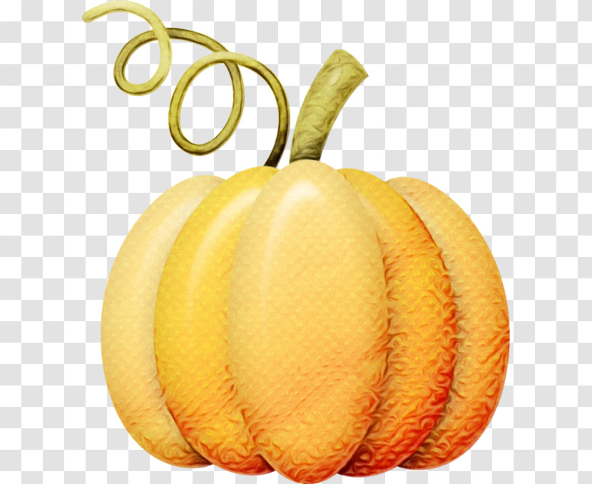 Pumpkin Transparent PNG