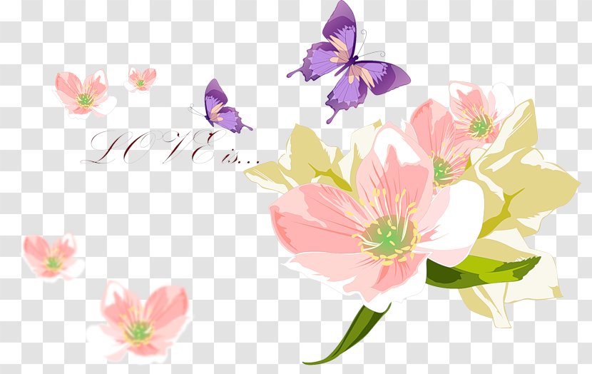 Floral Design Flower Photography Petal Transparent PNG